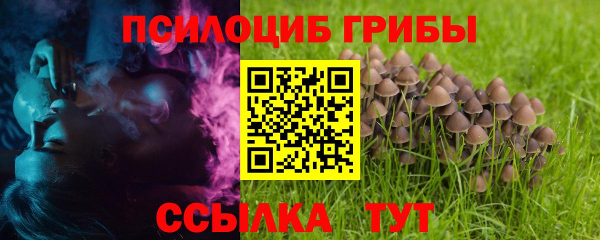 сколько стоит  Псилоцибиновые грибы MAGIC MUSHROOMS  Вход с VPN  Морозовск 